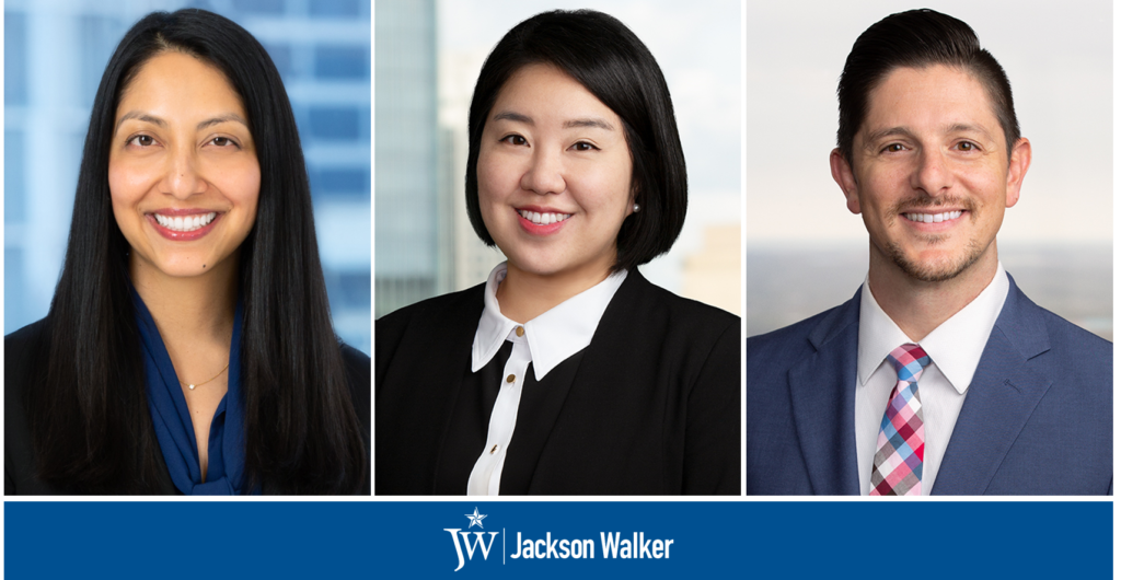 Minoo Blaesche, Paisley Park, and Brian Pettis Selected to Participate in Leadership Council on Legal Diversity Programs – Jackson Walker